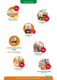 Volantino Lillo e i Vagabondi Pagina 8