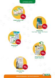 Volantino Lillo e i Vagabondi Pagina 9