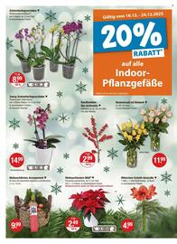 V Markt Prospekt woche 51 Seite 20