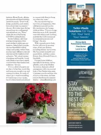 Catalogue Lipault page 31