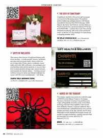 Catalogue Lipault page 46