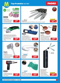 Pagro Diskont Flugblatt Seite 15