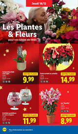 Catalogue Lidl page 36