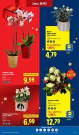 Catalogue Lidl page 37