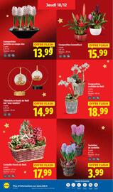 Catalogue Lidl page 38