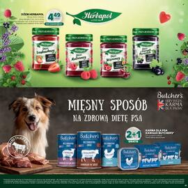 Stokrotka Market gazetka Strona 41