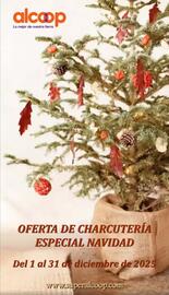 Folleto Super Alcoop Página 1