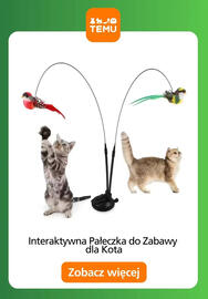 Temu gazetka Strona 11