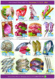 Amber catalogue Page 7