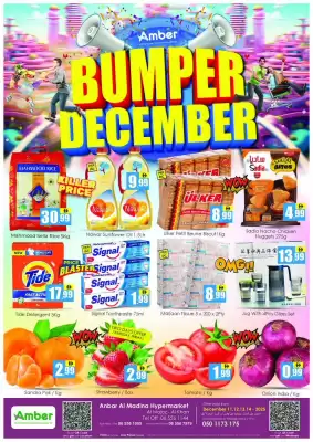 Amber catalogue (valid until 14-12)