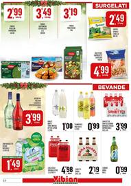 Volantino Vibian Pagina 13