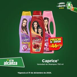 Folleto Bodega Aurrerá Página 1