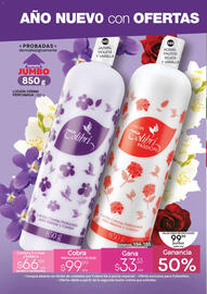 Catálogo Fuller Página 18