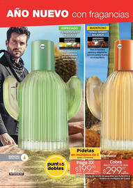 Catálogo Fuller Página 32