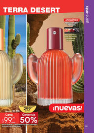 Catálogo Fuller Página 33