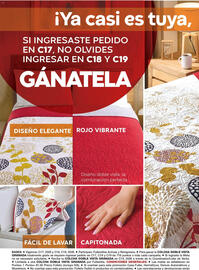 Catálogo Fuller Página 36