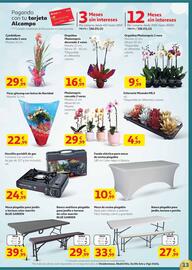 Folleto Alcampo Página 13