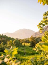 Catálogo Nikon semana 50 Página 1