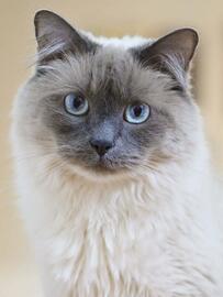 Catálogo Nikon semana 50 Página 2