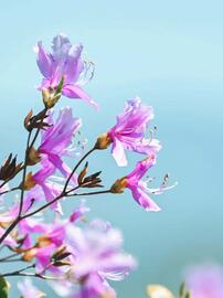 Catálogo Nikon semana 50 Página 3