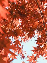 Catálogo Nikon semana 50 Página 5