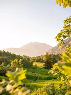 Catálogo Nikon (válido hasta 17-12)