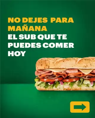 Catálogo Subway (válido hasta 17-12)