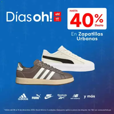 Catálogo Oechsle (válido hasta 14-12)