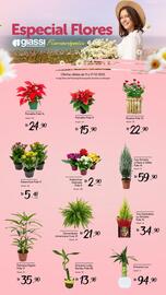 Encarte Giassi Supermercados semana 50 Página 2