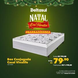 Folheto Deltasul Página 4