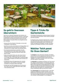 Lagerhaus Flugblatt Seite 11