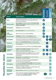 Lagerhaus Flugblatt Seite 11