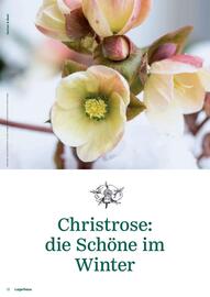 Lagerhaus Flugblatt Seite 12