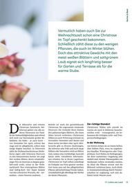 Lagerhaus Flugblatt Seite 13