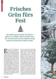 Lagerhaus Flugblatt Seite 16