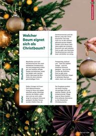 Lagerhaus Flugblatt Seite 19