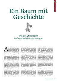 Lagerhaus Flugblatt Seite 31