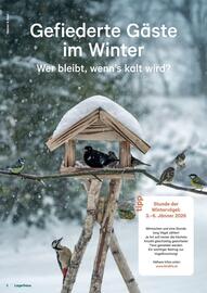 Lagerhaus Flugblatt Seite 8