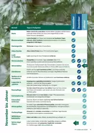 Lagerhaus Flugblatt Seite 11