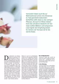 Lagerhaus Flugblatt Seite 13