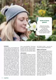 Lagerhaus Flugblatt Seite 14