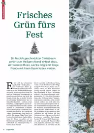 Lagerhaus Flugblatt Seite 16