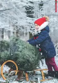 Lagerhaus Flugblatt Seite 17