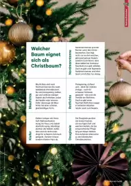 Lagerhaus Flugblatt Seite 19