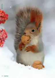 Lagerhaus Flugblatt Seite 22