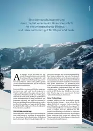 Lagerhaus Flugblatt Seite 37