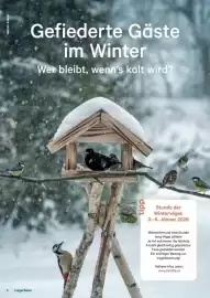 Lagerhaus Flugblatt Seite 8