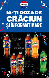 Catalog Selgros Pagină 38