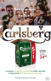 Catalog Selgros Pagină 41