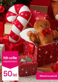 Catalog Pepco săptămâna 50 Pagină 3